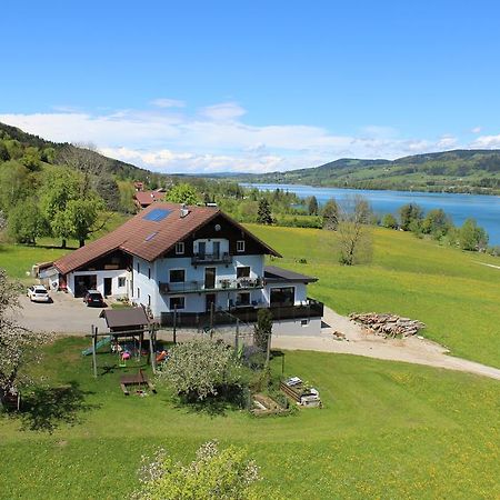 Bauernhof Schink Villa Zell am Moos Dış mekan fotoğraf