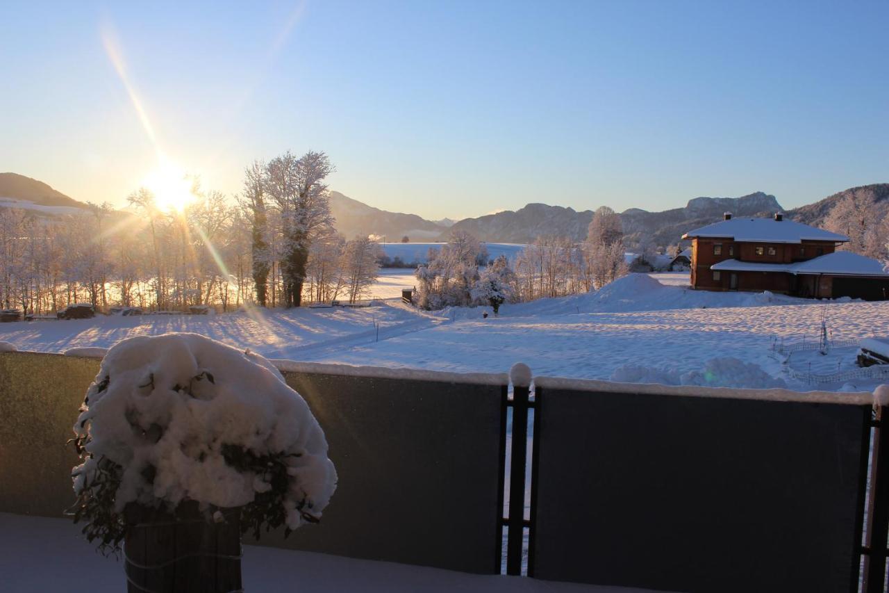 Bauernhof Schink Villa Zell am Moos Dış mekan fotoğraf