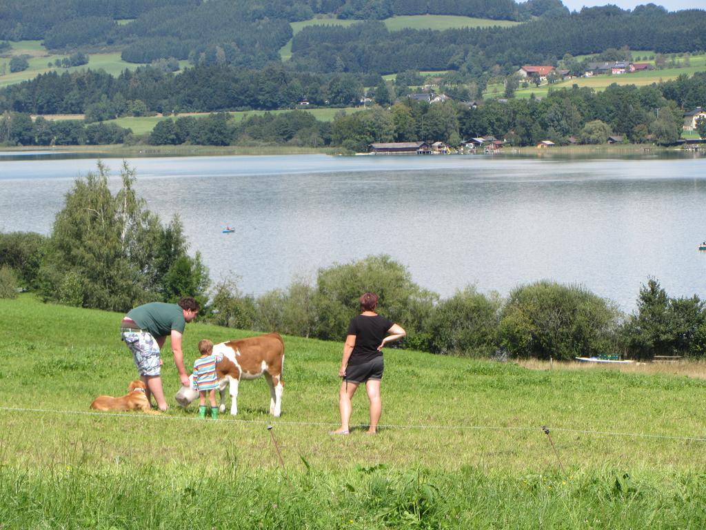Bauernhof Schink Villa Zell am Moos Dış mekan fotoğraf
