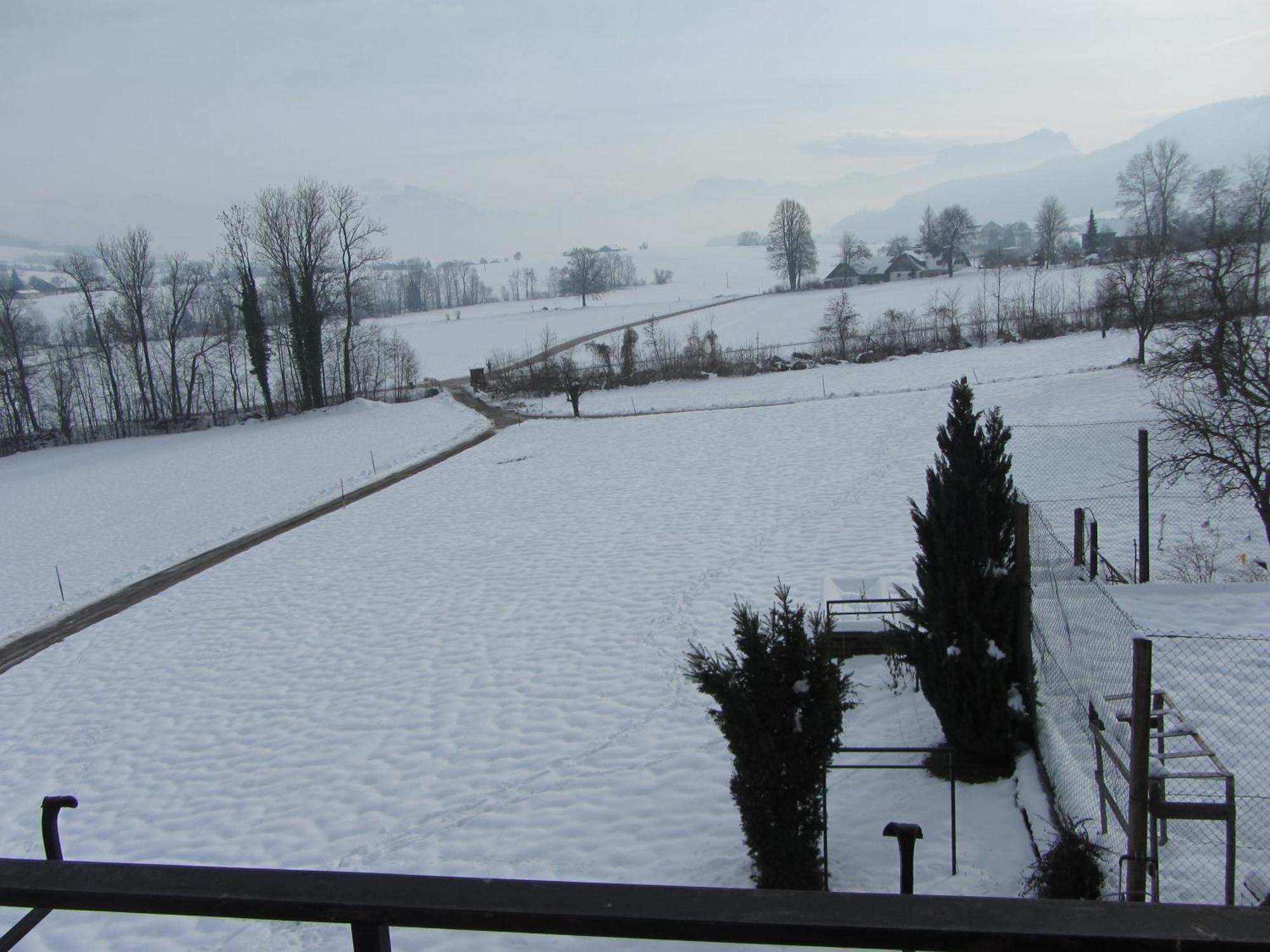 Bauernhof Schink Villa Zell am Moos Oda fotoğraf