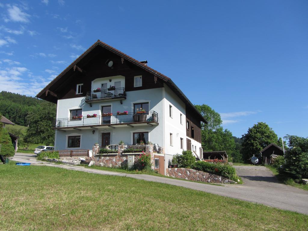Bauernhof Schink Villa Zell am Moos Dış mekan fotoğraf