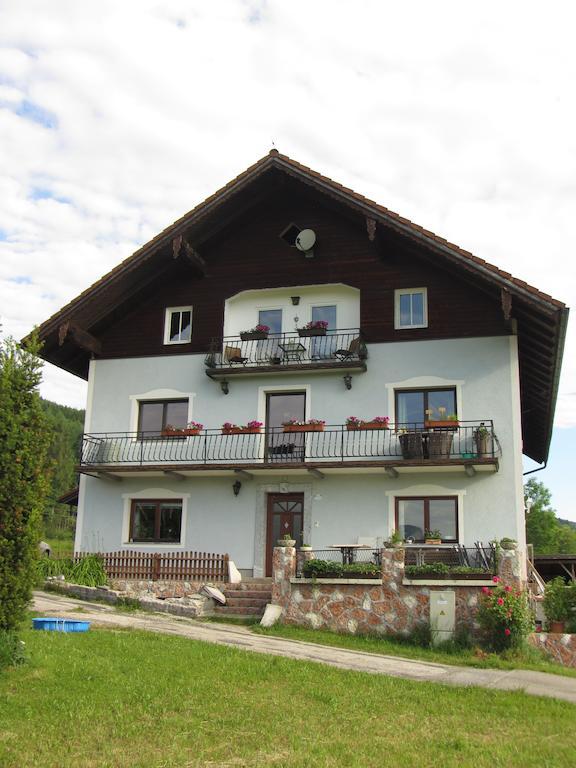 Bauernhof Schink Villa Zell am Moos Dış mekan fotoğraf