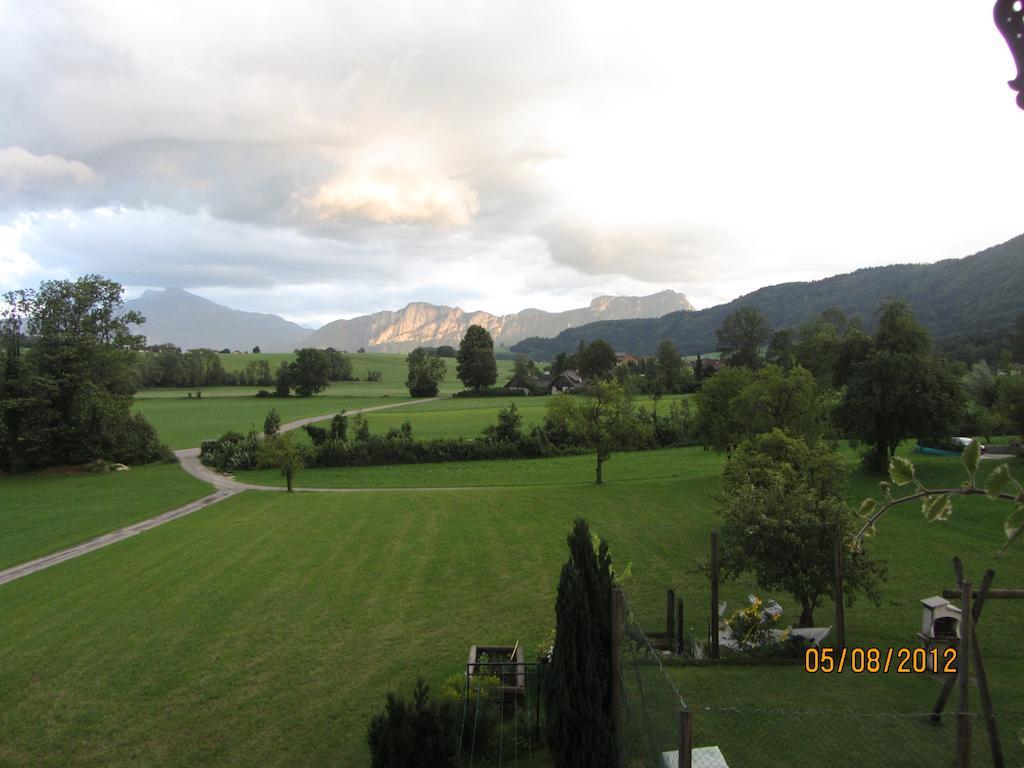 Bauernhof Schink Villa Zell am Moos Oda fotoğraf