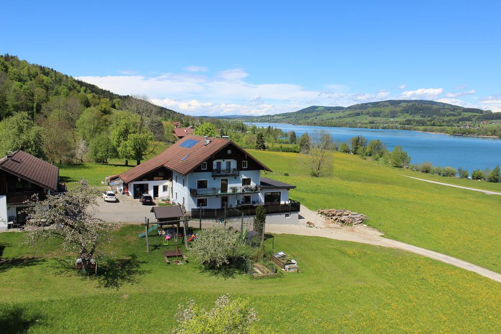 Bauernhof Schink Villa Zell am Moos Dış mekan fotoğraf